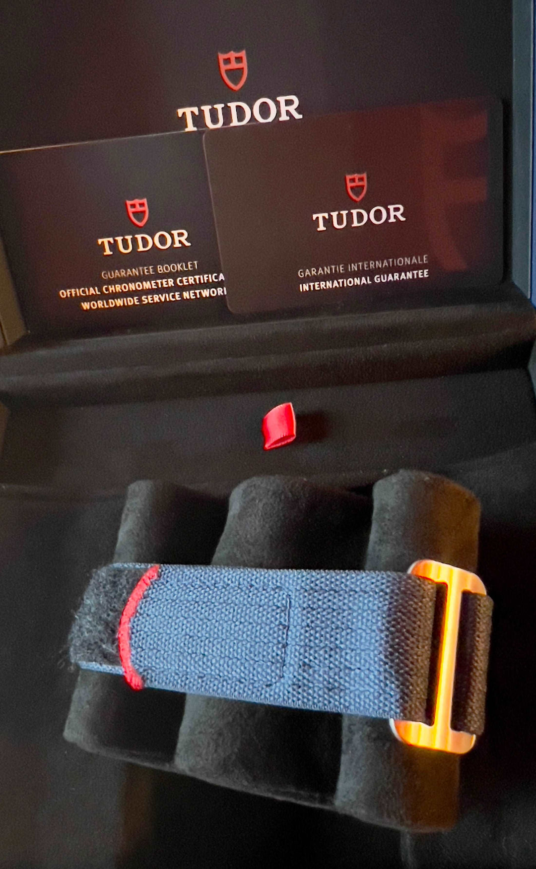 Tudor Pelagos Alinghi Red Bull Pelagos Fxd – Racing NEW 2023