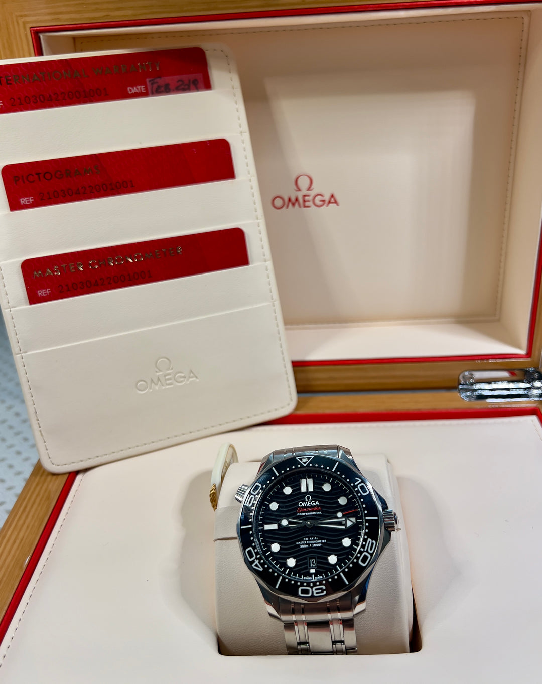 Omega Seamaster Diver 300 M 2019 | ITA