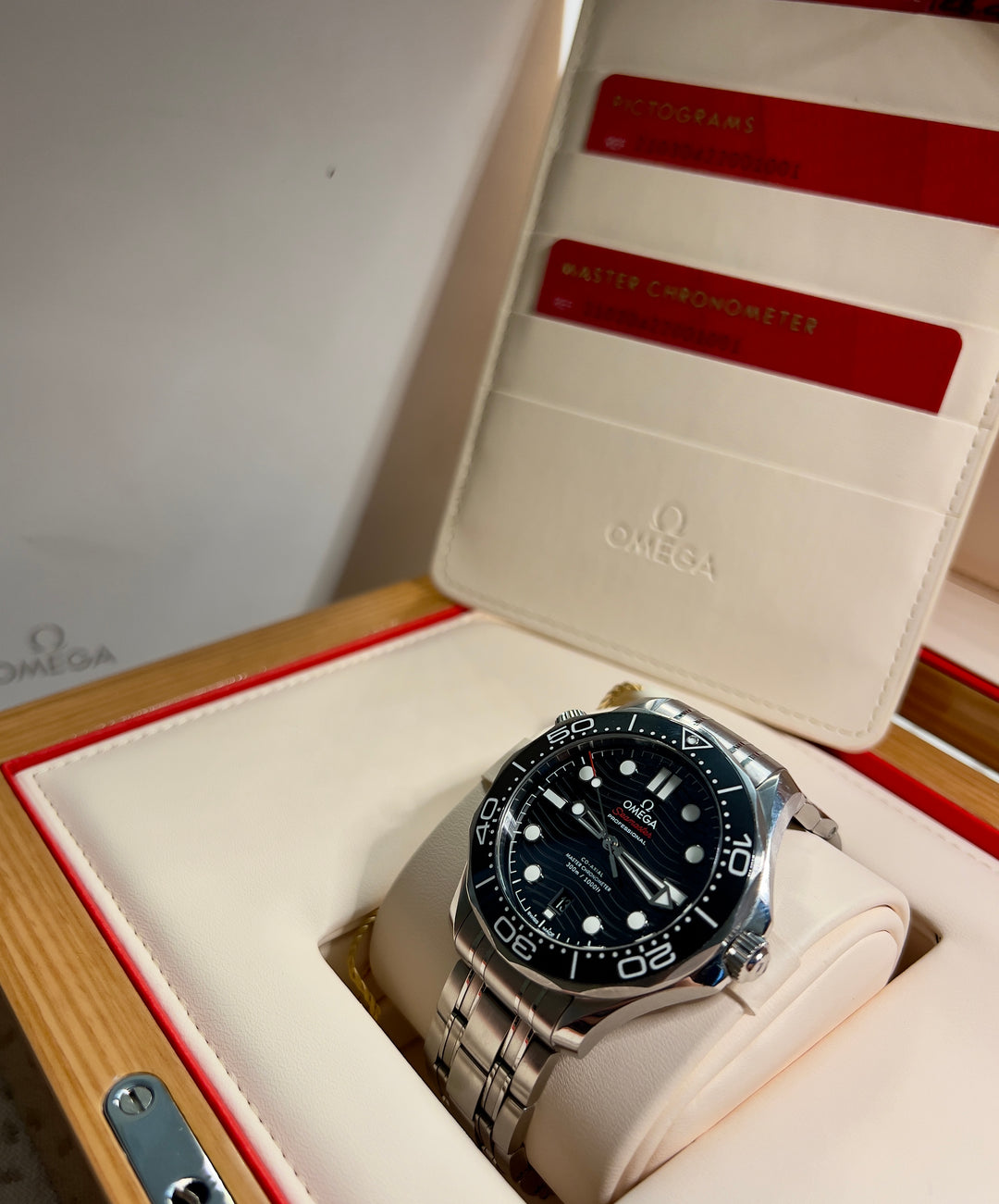 Omega Seamaster Diver 300 M 2019 | ITA