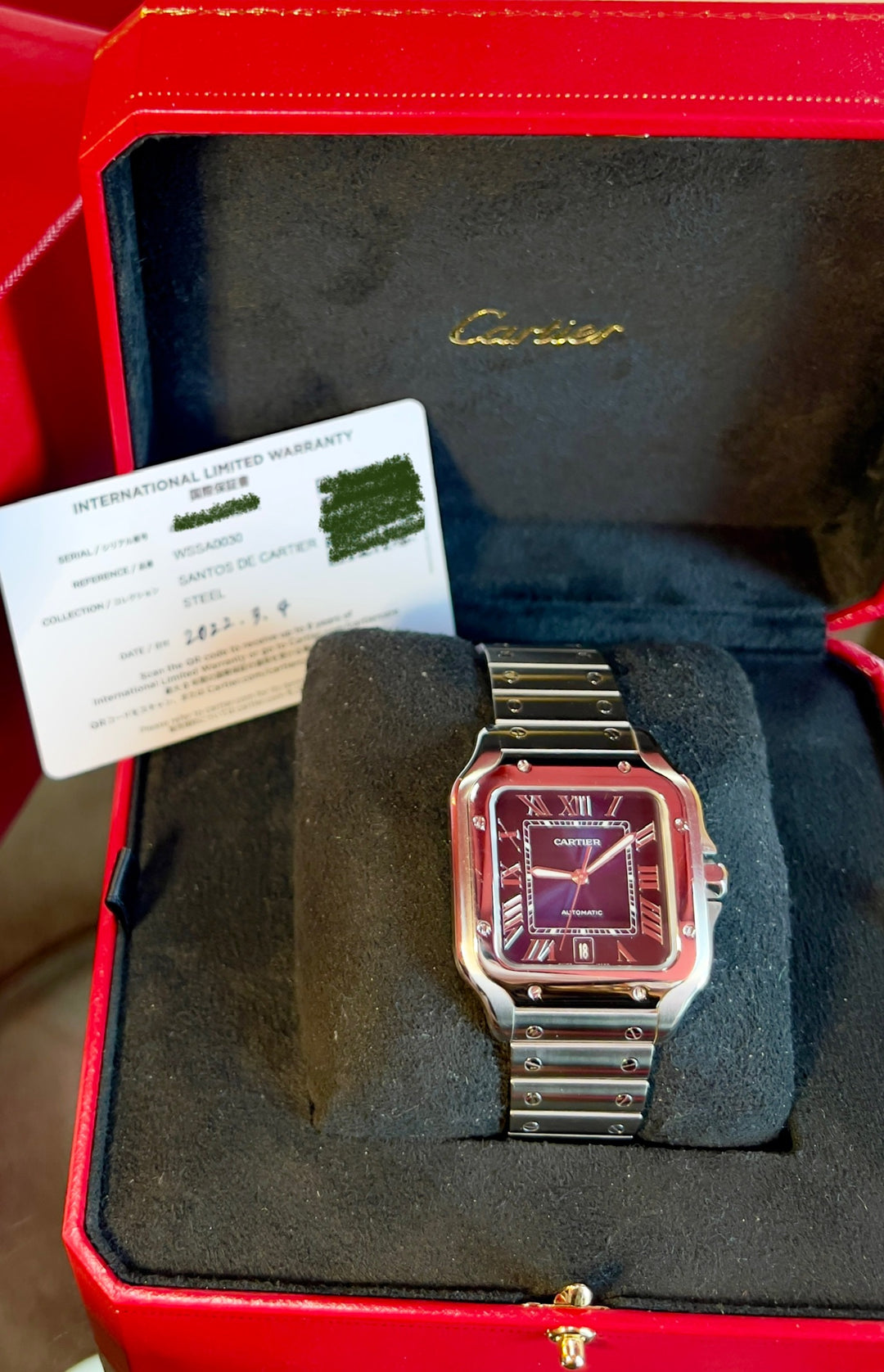 Cartier Santos De Cartier WSSA0030 BIG SIZE | 2022