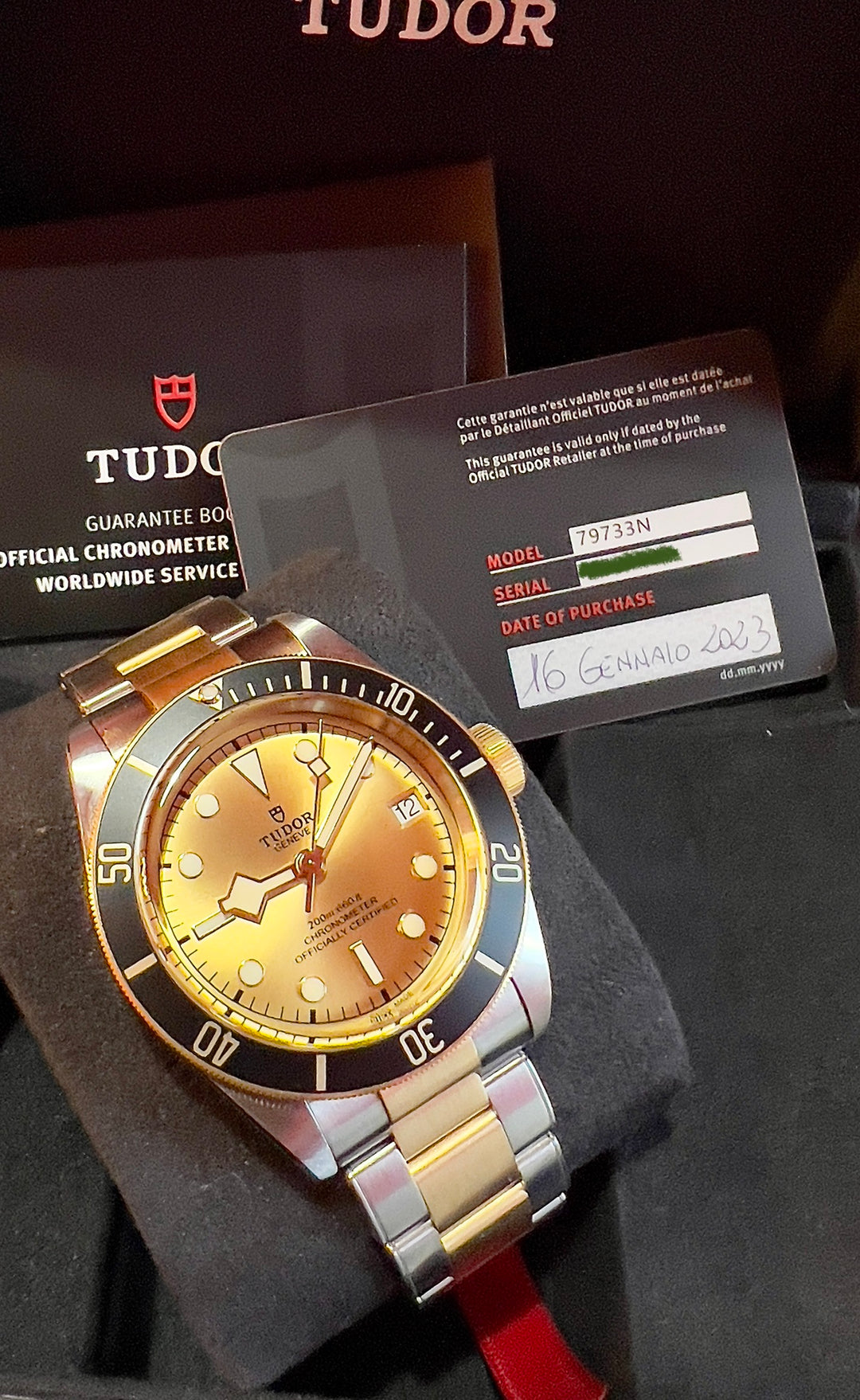 Tudor Black Bay S&amp;G 79733N-0004