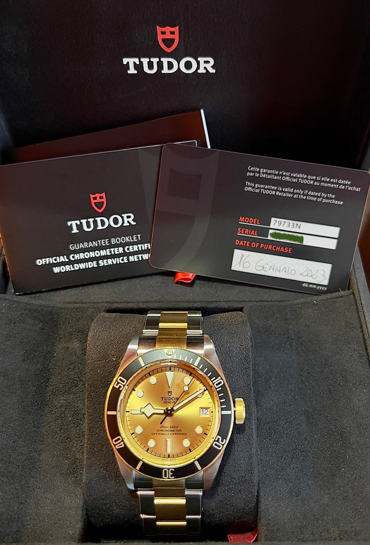 Tudor Black Bay S&amp;G 79733N-0004