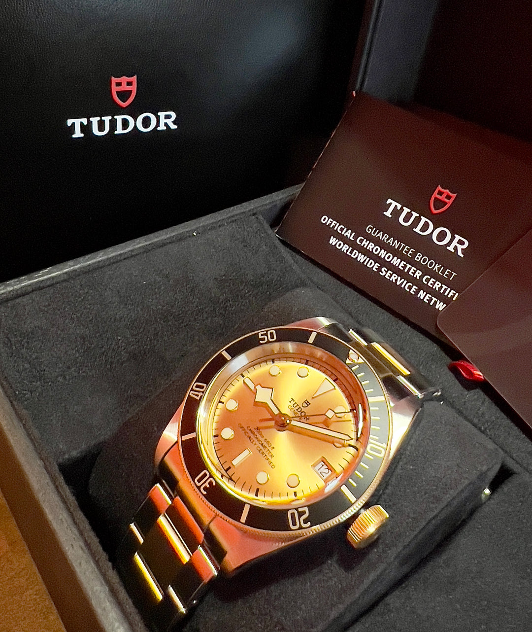 Tudor Black Bay S&amp;G 79733N-0004