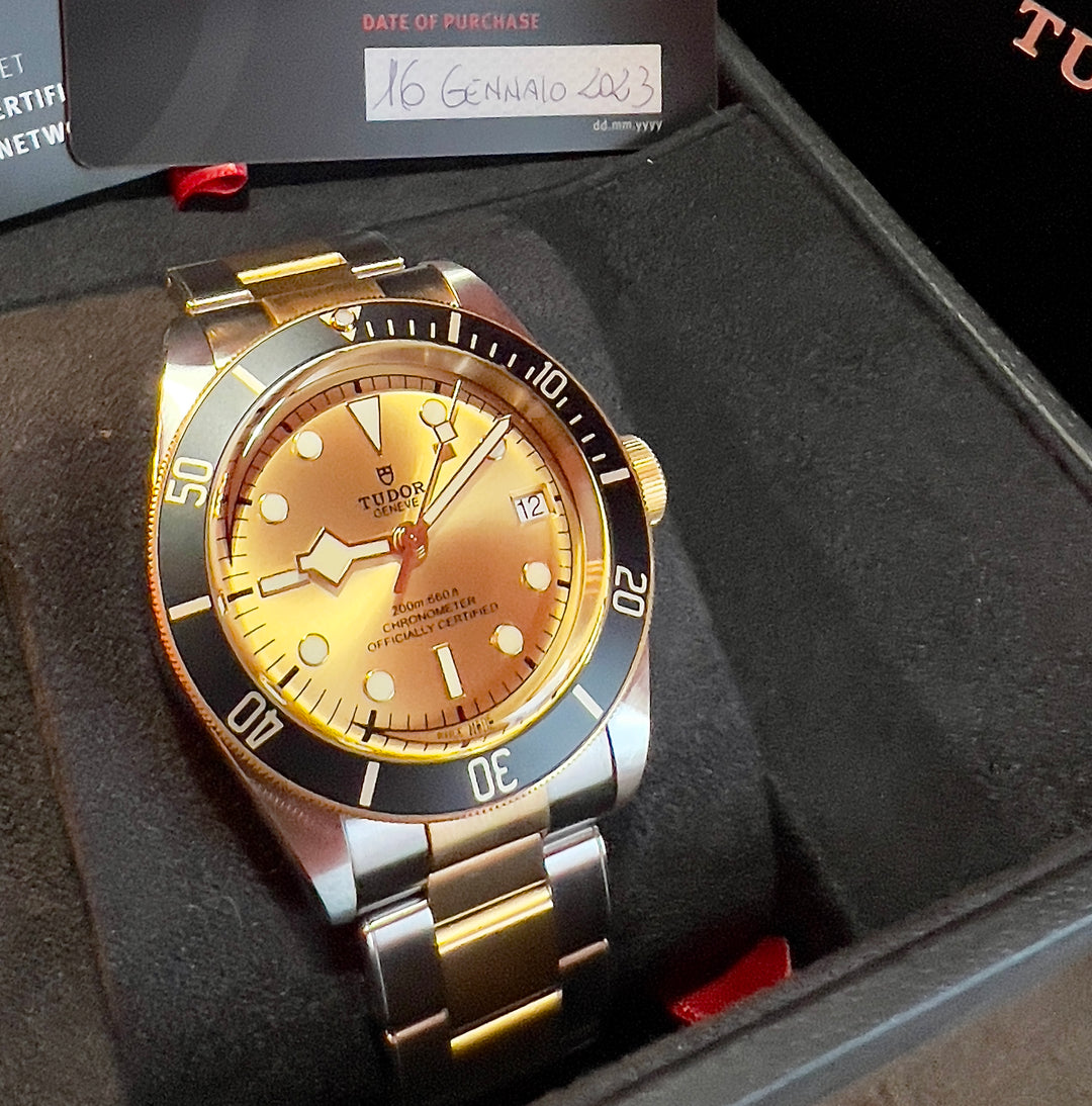 Tudor Black Bay S&G 79733N-0004