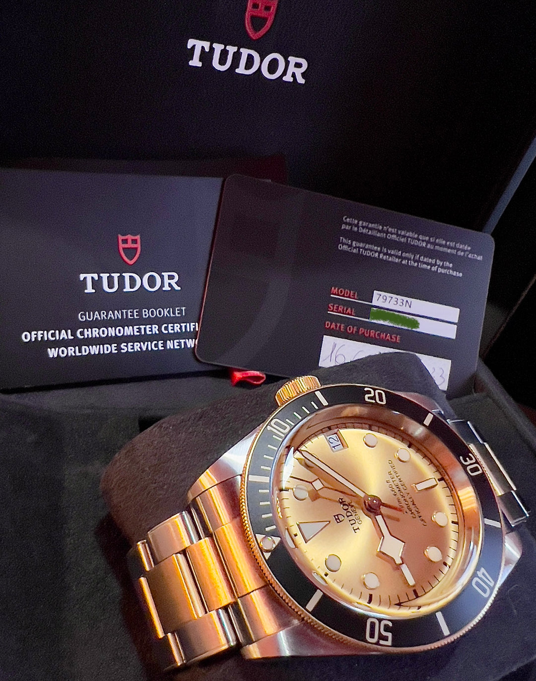 Tudor Black Bay S&amp;G 79733N-0004