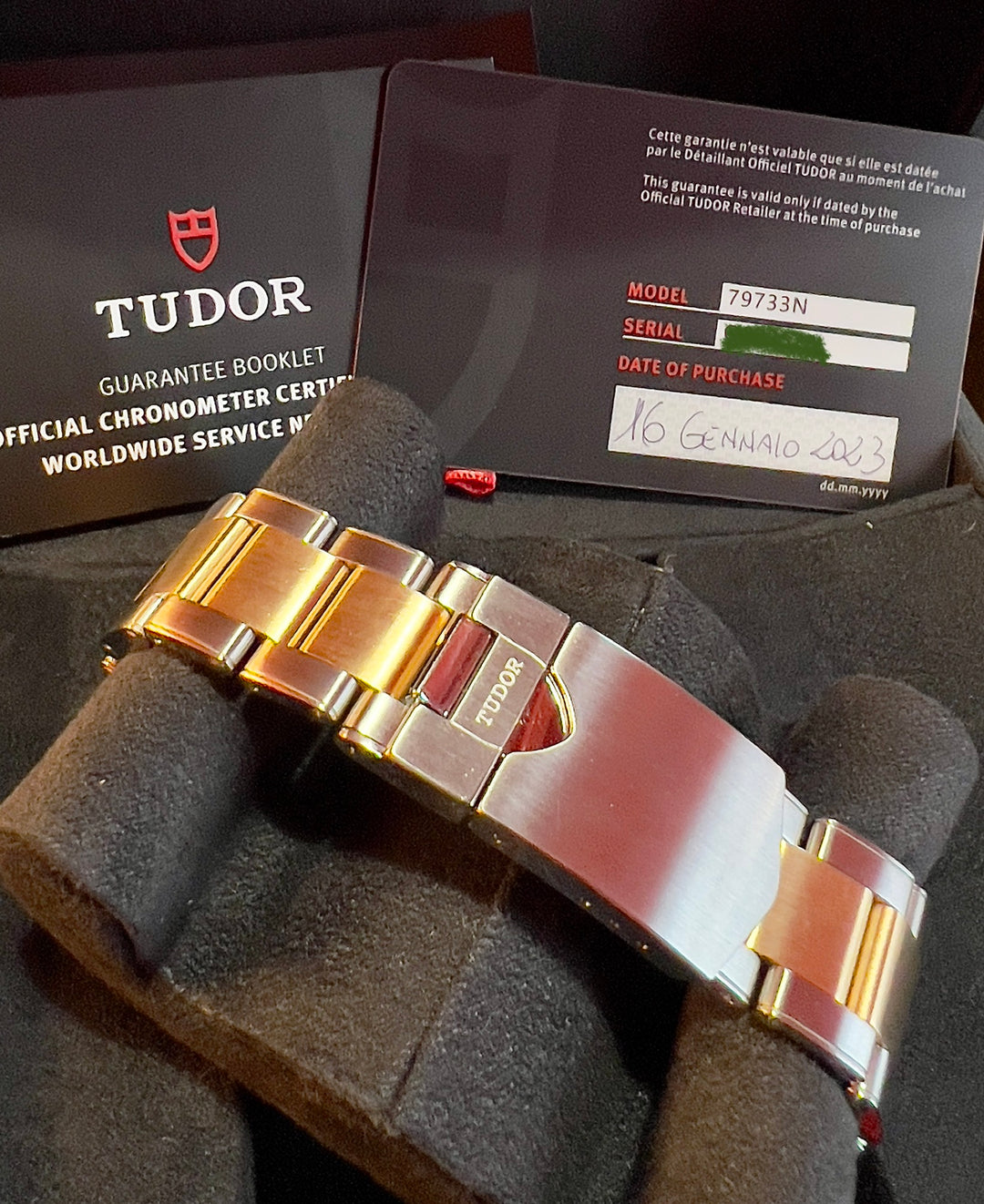 Tudor Black Bay S&G 79733N-0004