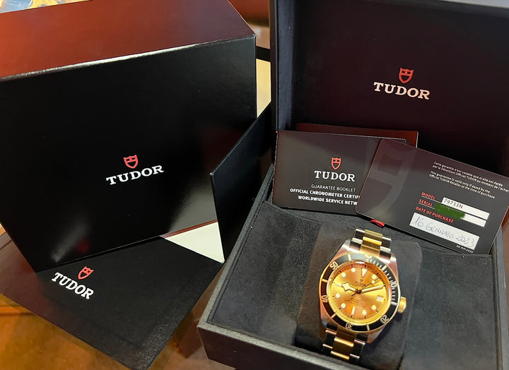 Tudor Black Bay S&G 79733N-0004