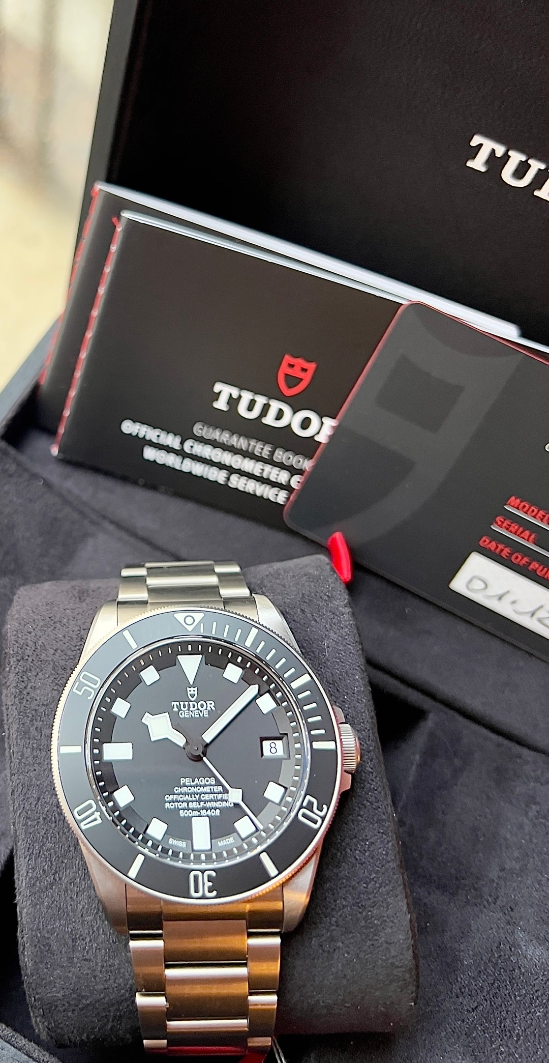 Tudor Pelagos 25600TN