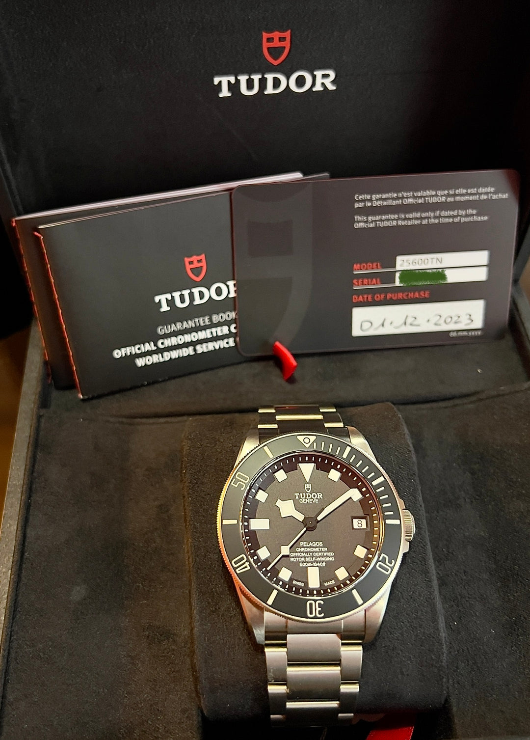 Tudor Pelagos 25600TN