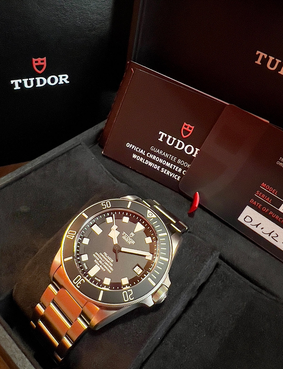 Tudor Pelagos 25600TN