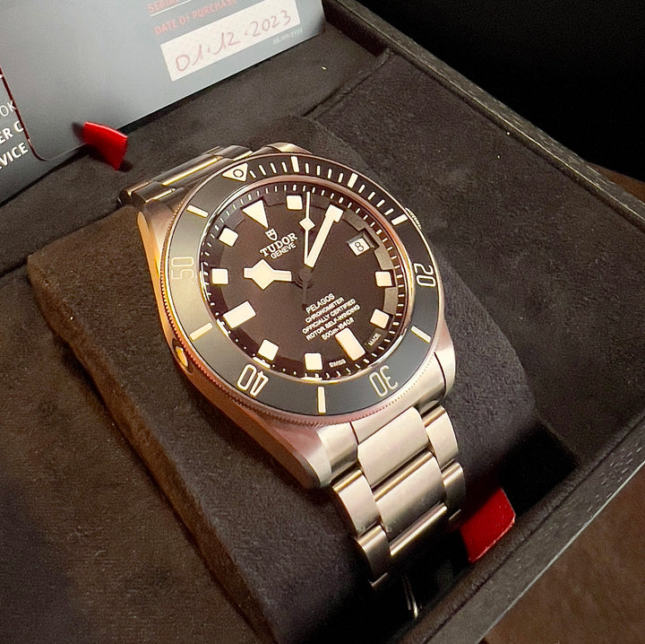 Tudor Pelagos 25600TN