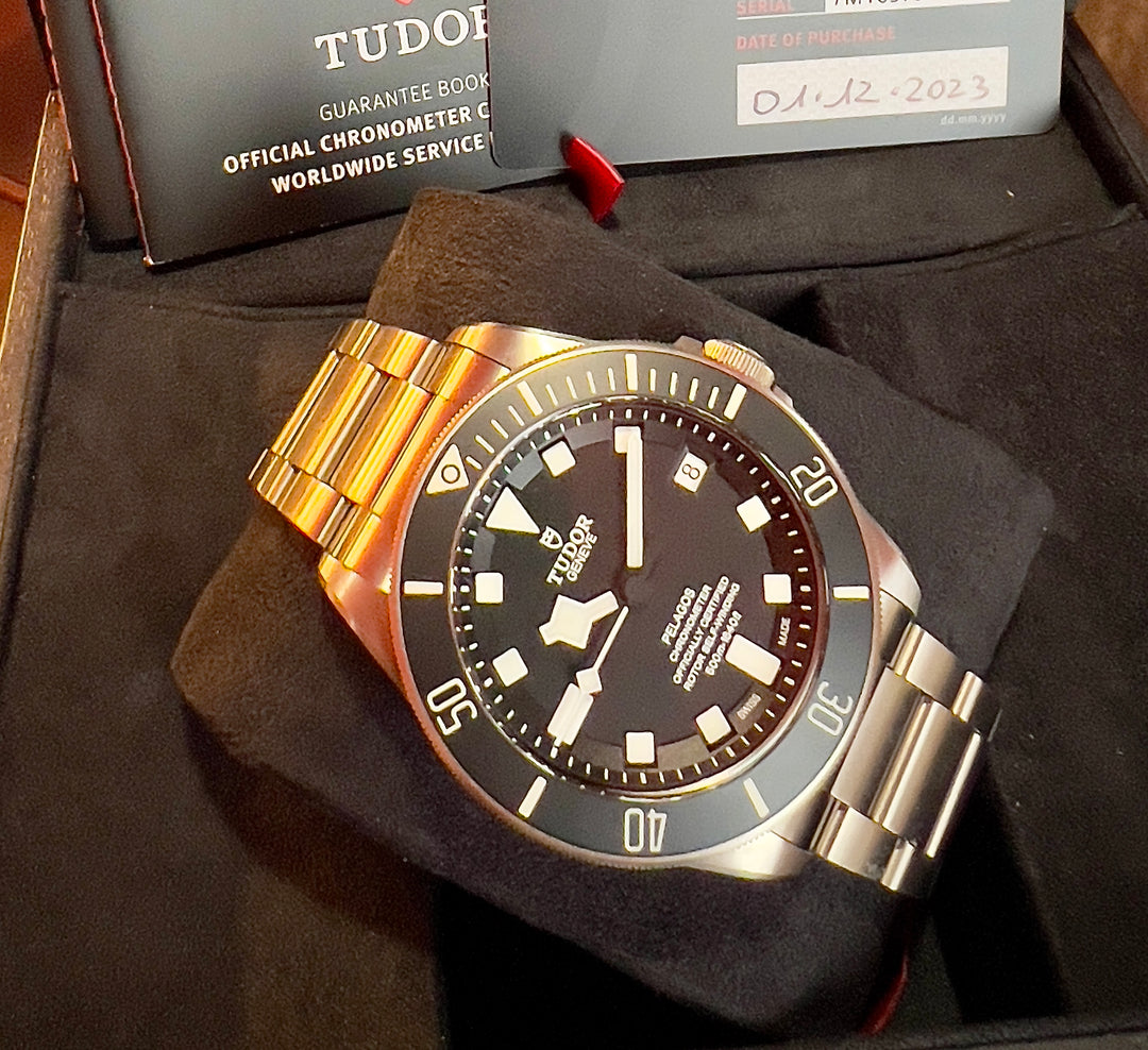 Tudor Pelagos 25600TN