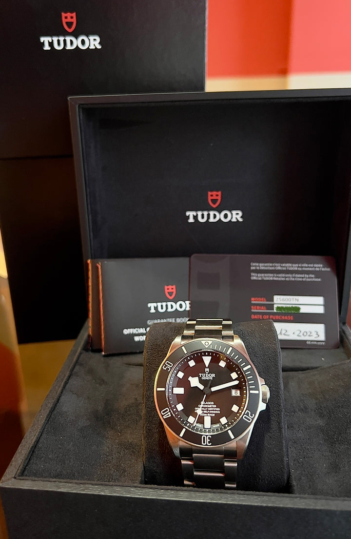 Tudor Pelagos 25600TN